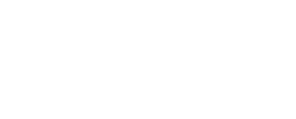 ta-marnisi-logo-white